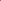 Adventure 2.0 - Women Pink