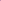 Adventure 2.0 - Women Pink