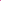 Adventure 2.0 - Women Pink