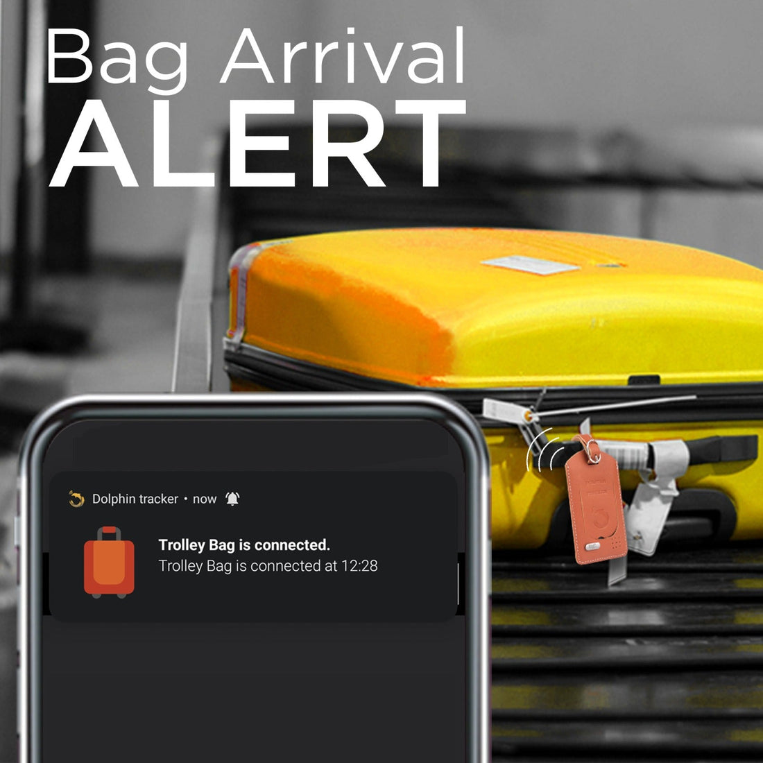 Dolphin Smart Bag Tracker